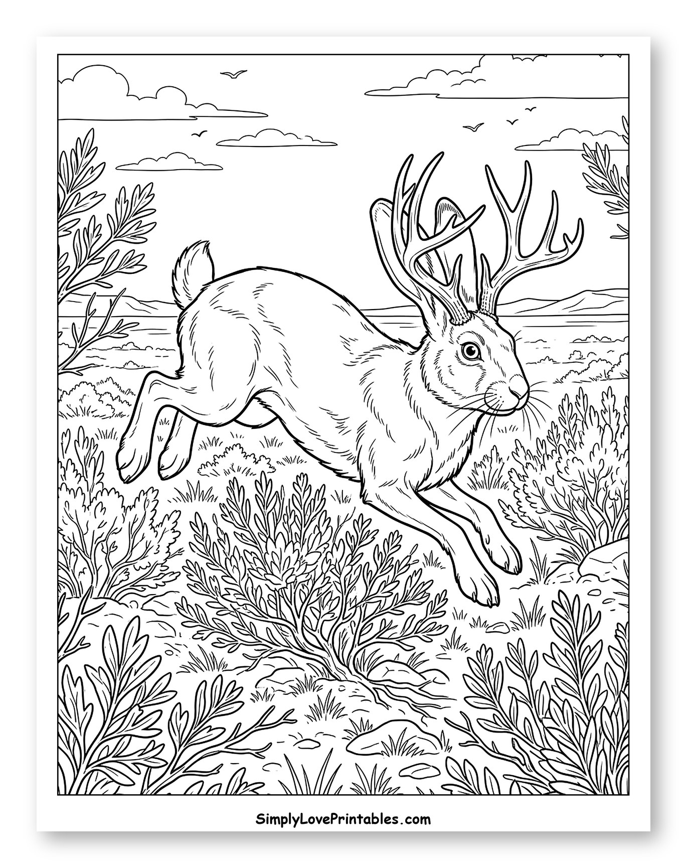 Leaping Jackalope in a Field Coloring Sheet