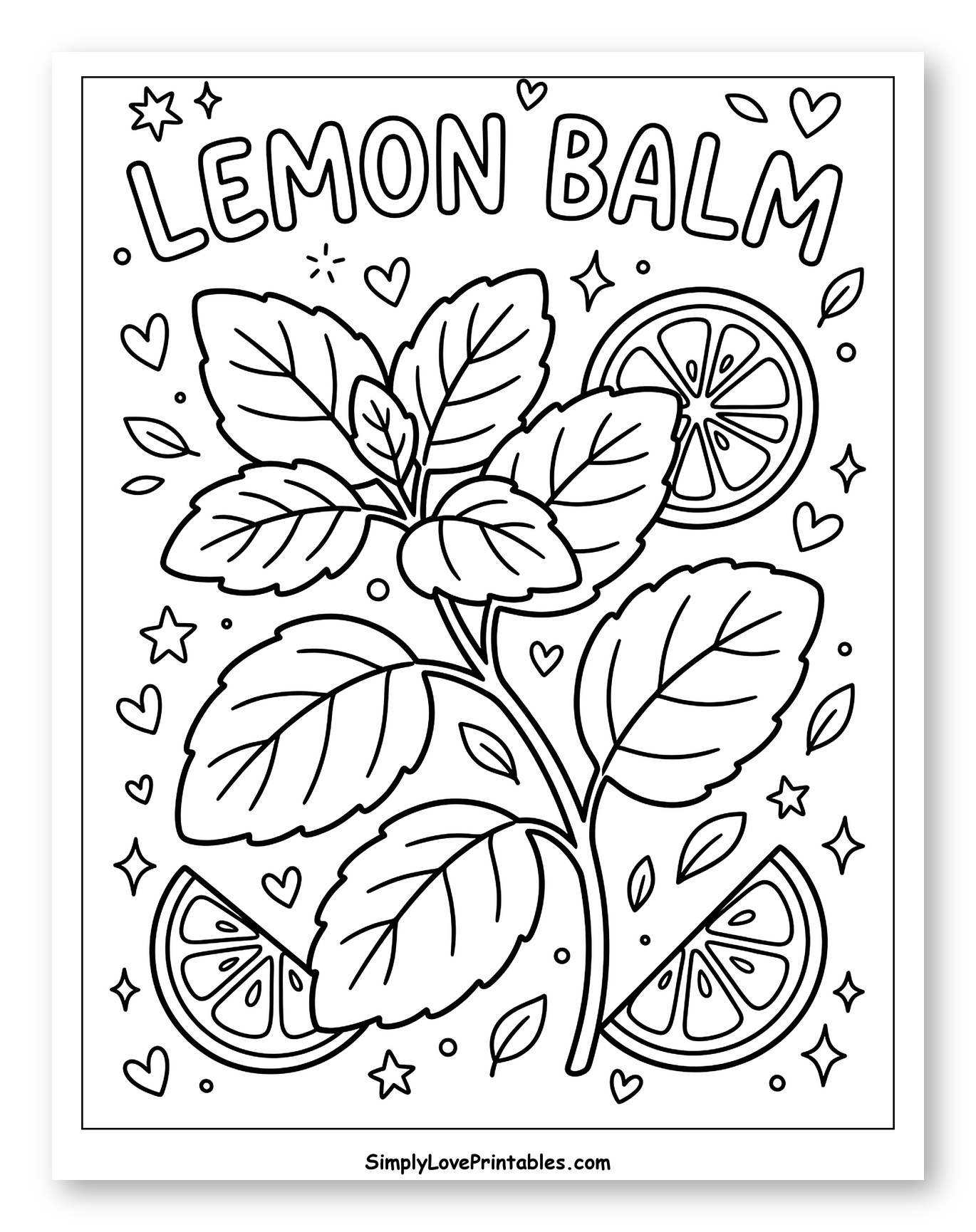 Lemon Balm Plant and Citrus Slices