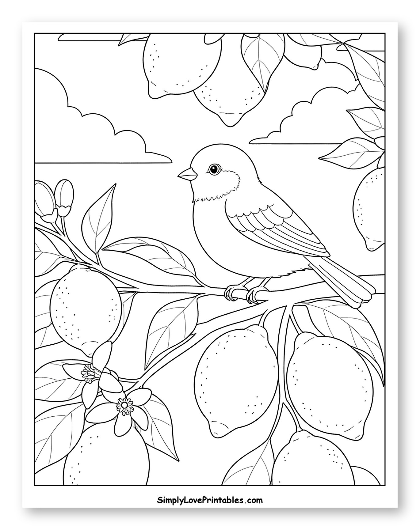 Little Bird on Lemon Tree Branch
