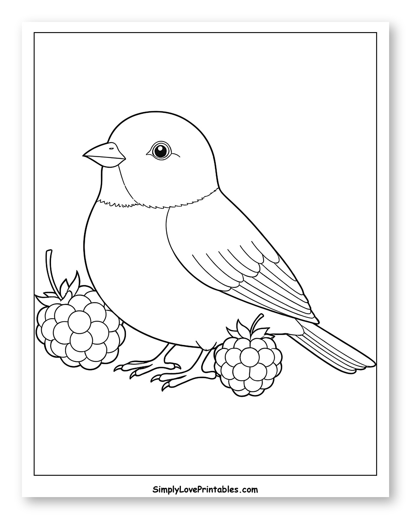 Little Bird Standing Next to Blackberries