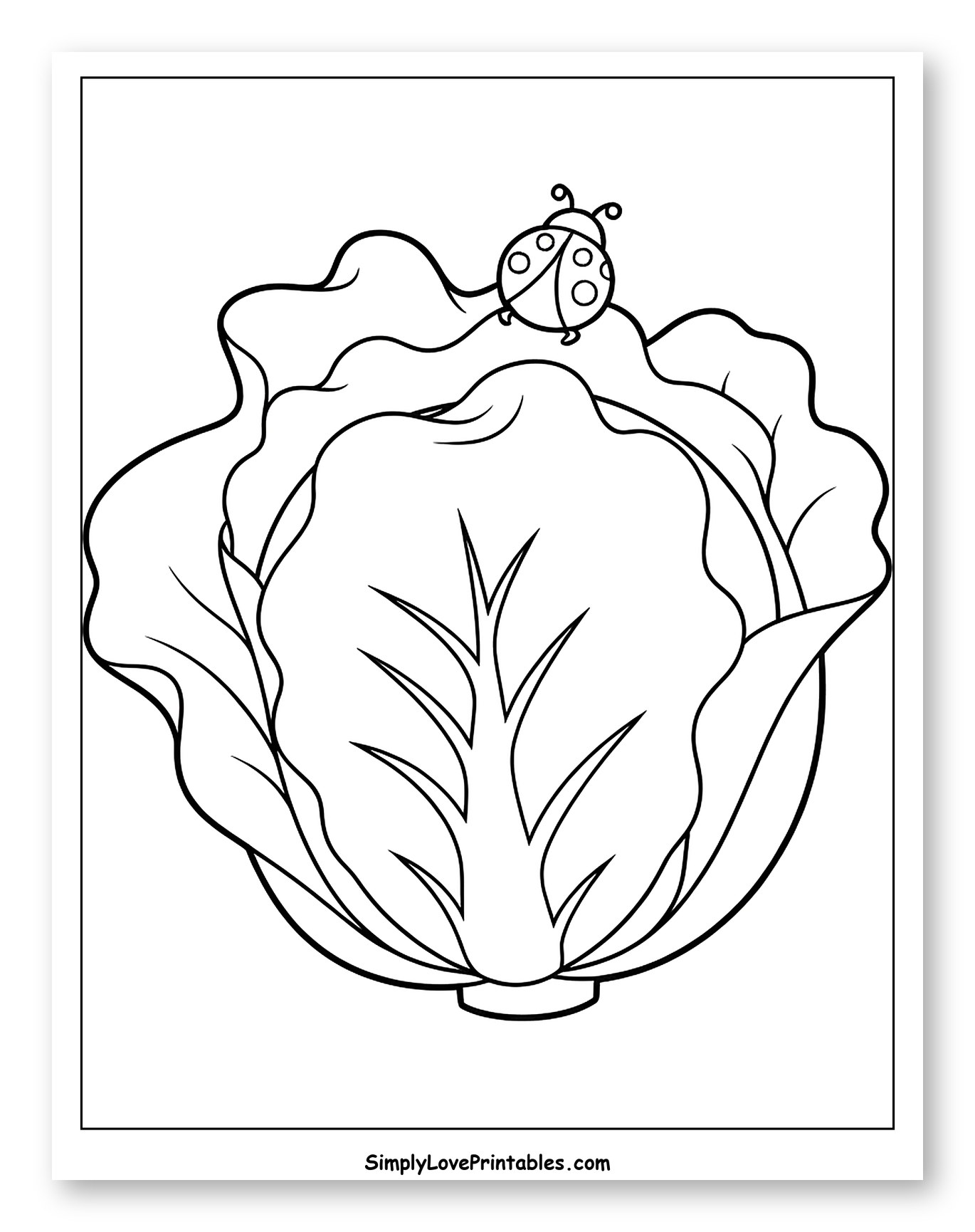 Little Ladybug on a Cabbage Head Coloring Page for Toddlers
