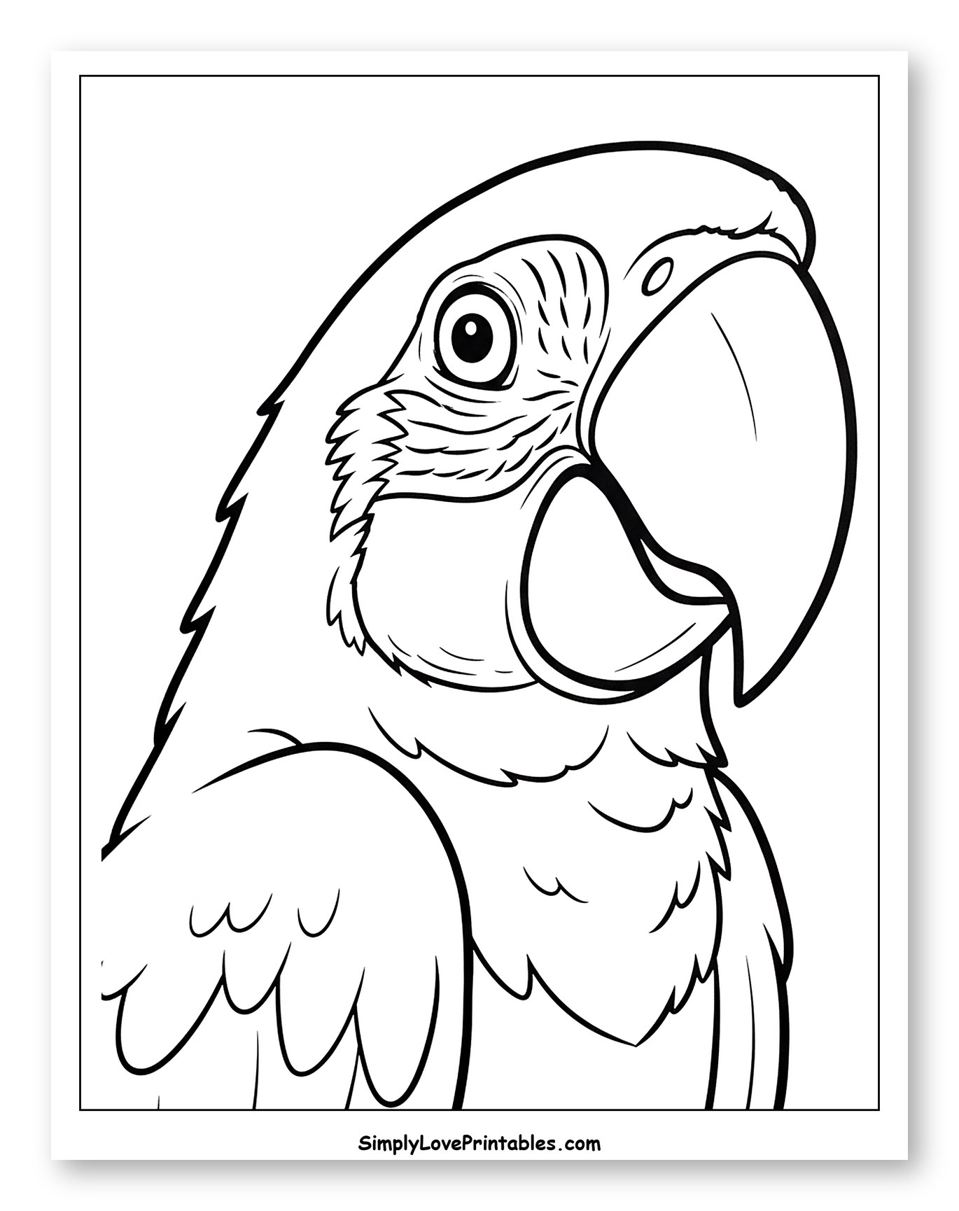 Macaw Head and Upper Body