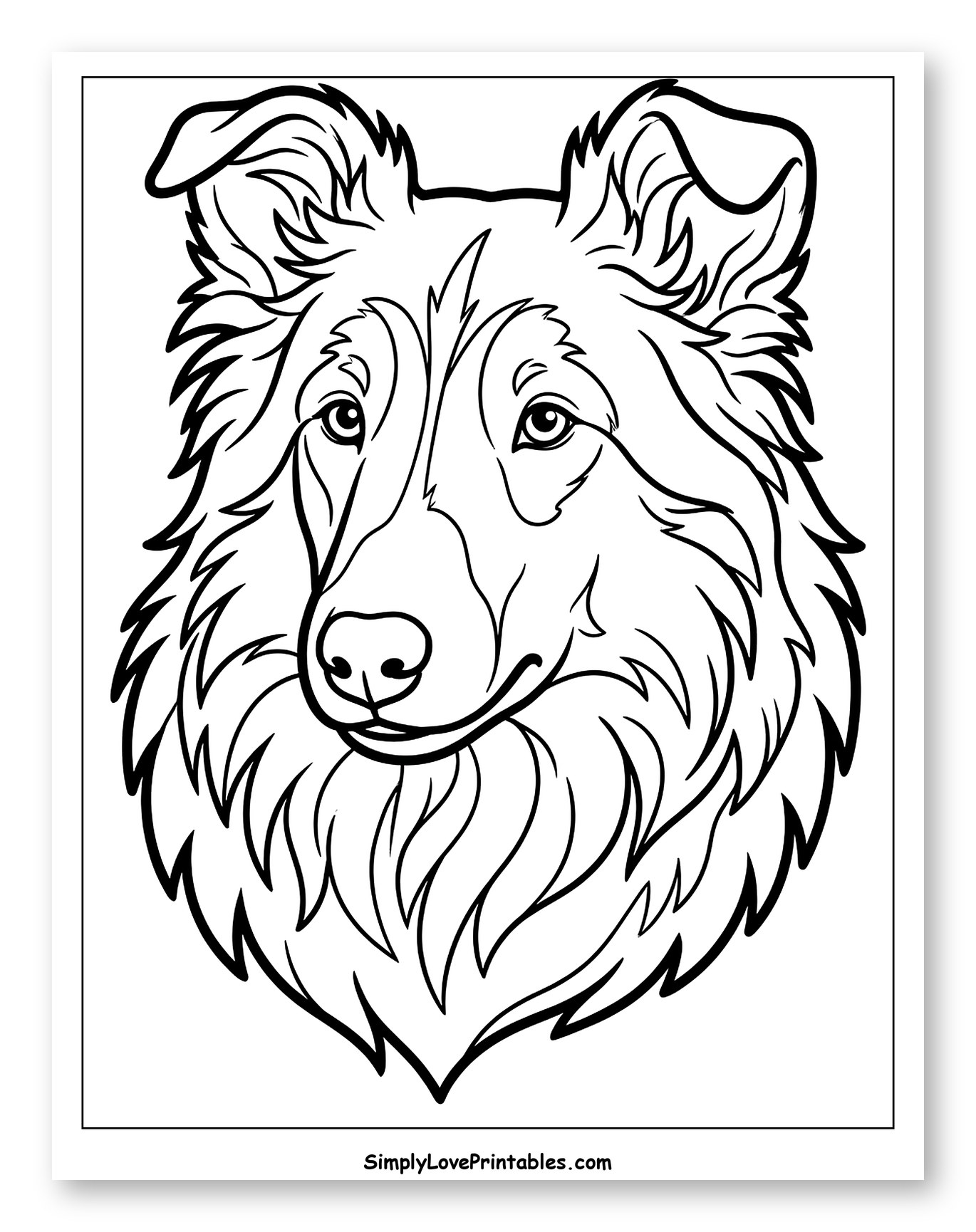 Majestic Collie Dog Head Outline Coloring Sheet for Toddlers
