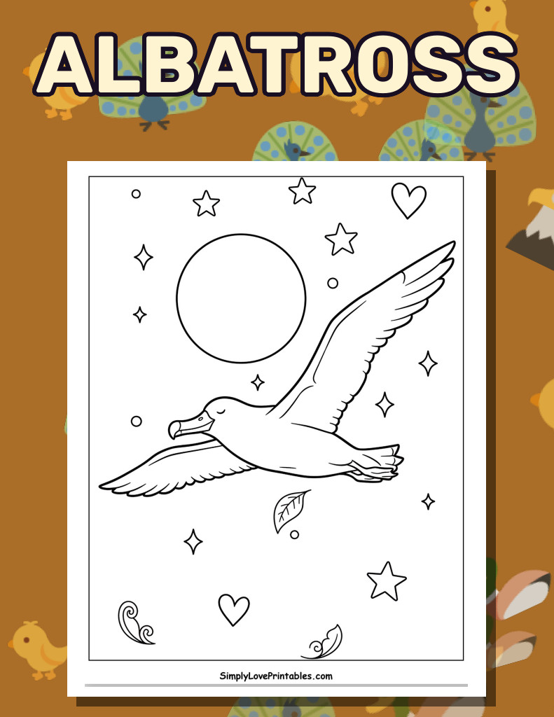 Albatross (28 Pages)