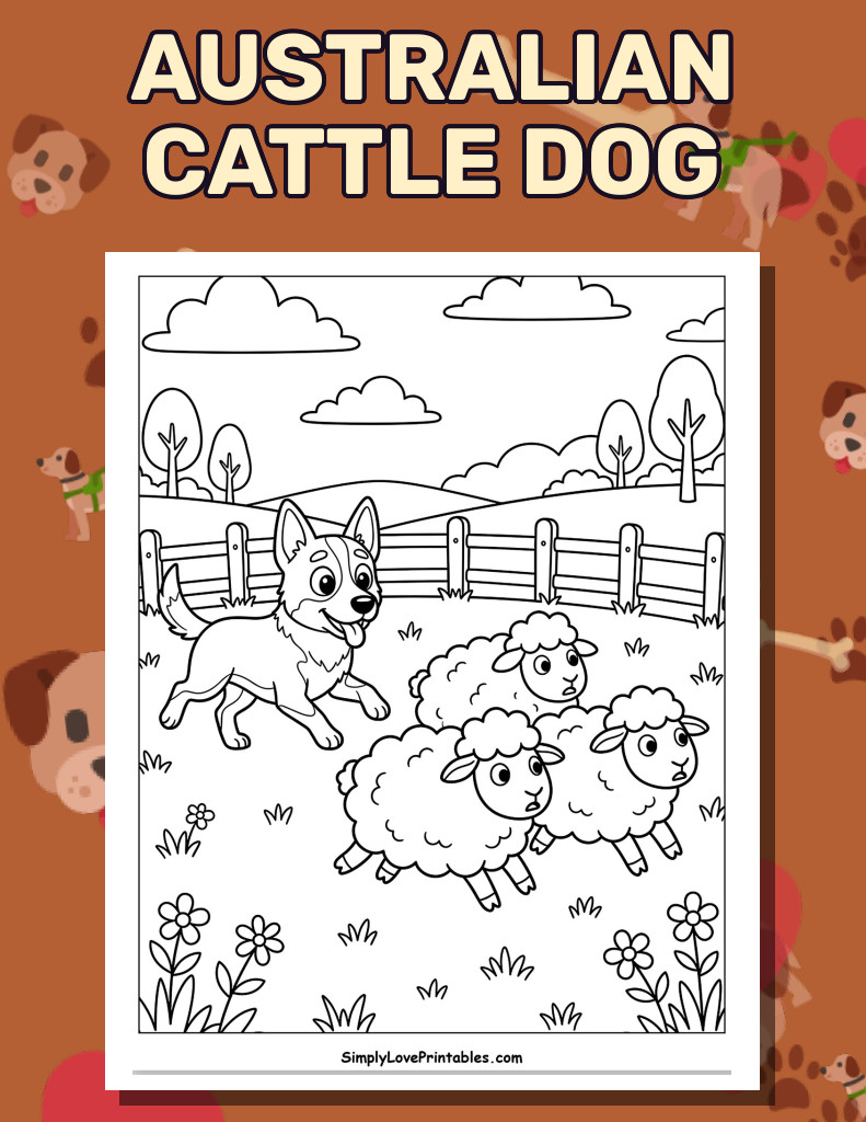 Australian Cattle Dog (26 Pages)