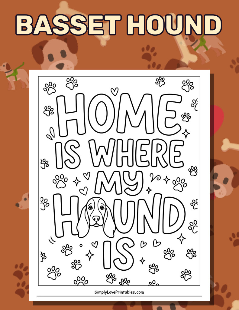 Basset Hound (38 Pages)
