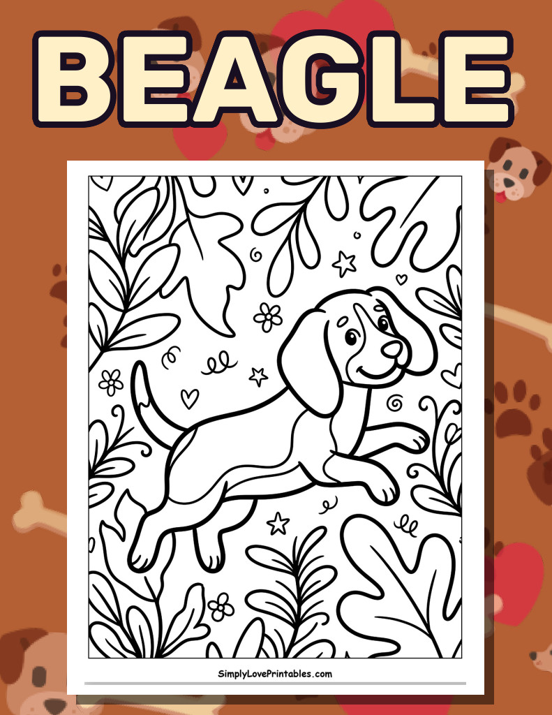 Beagle (41 Pages)