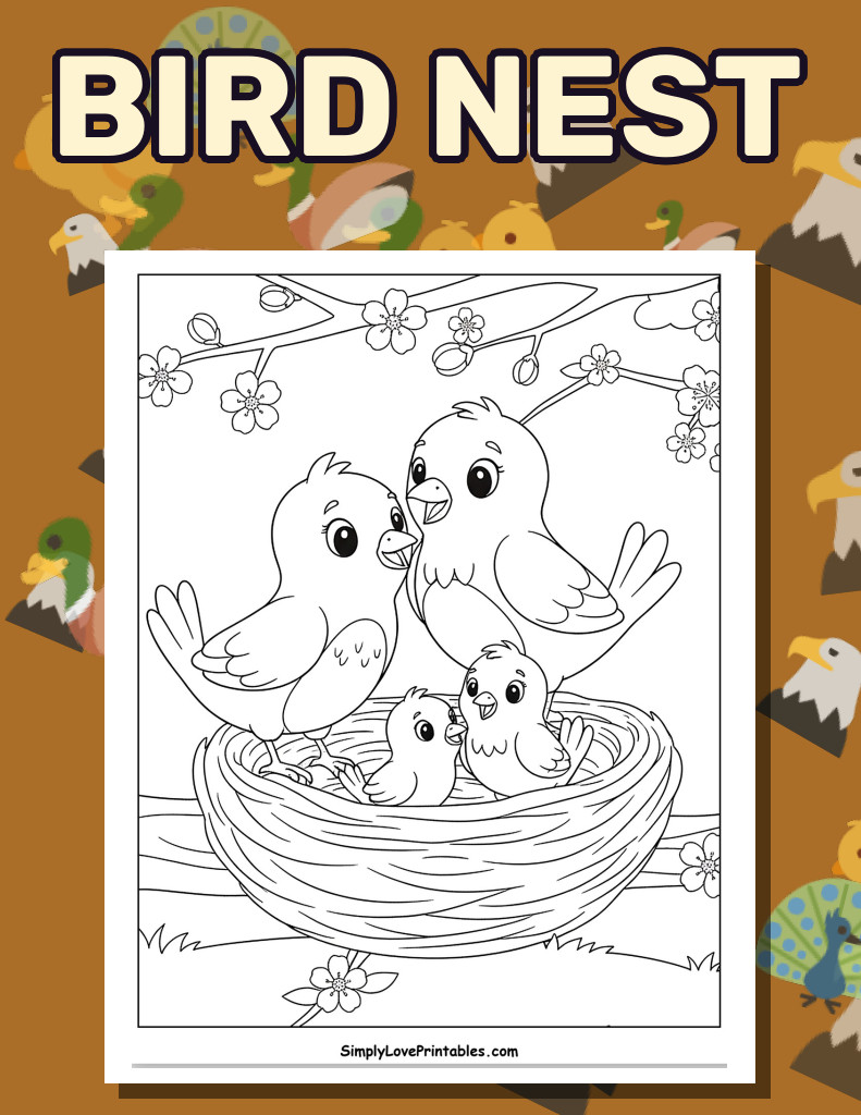 Bird Nest (28 Pages)
