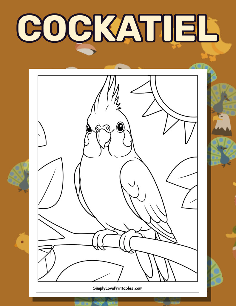 Cockatiel (28 Pages)