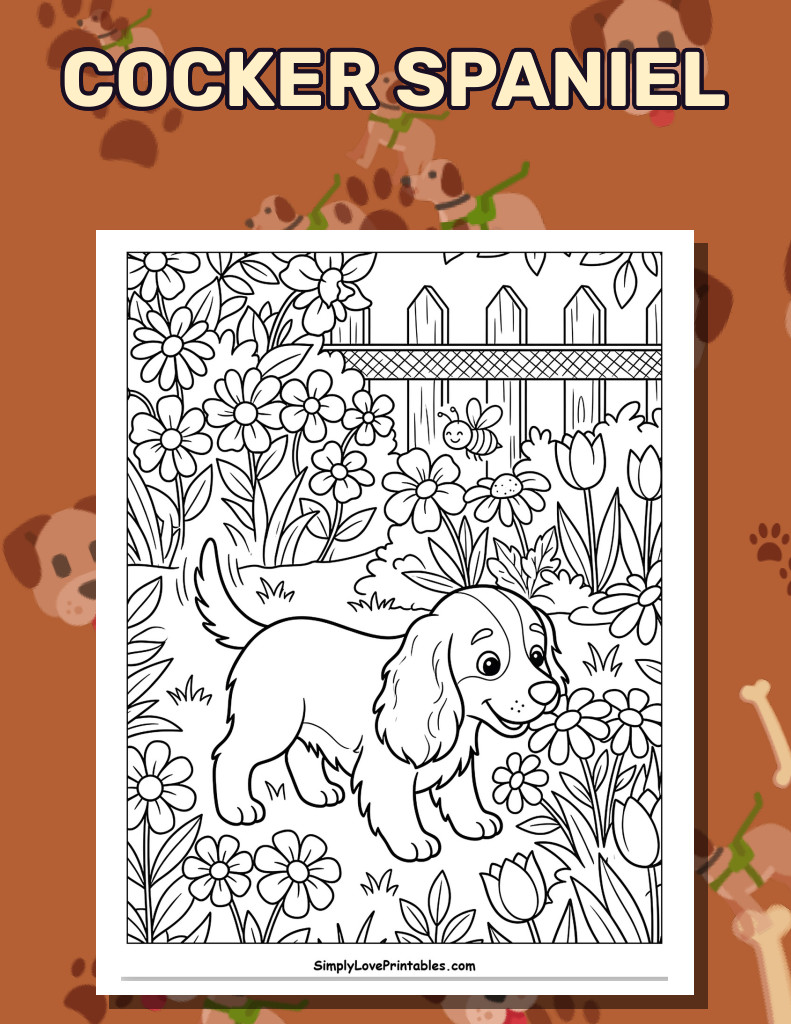 Cocker Spaniel (33 Pages)