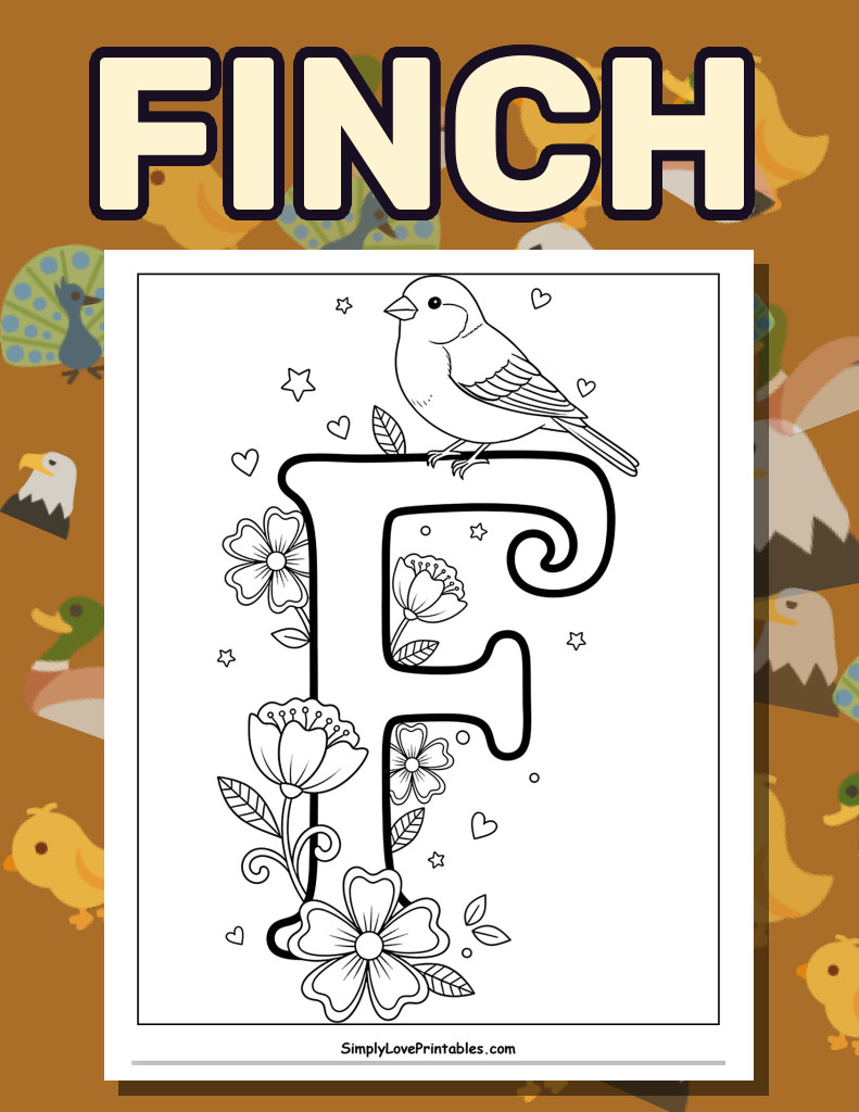 Finch (24 Pages)