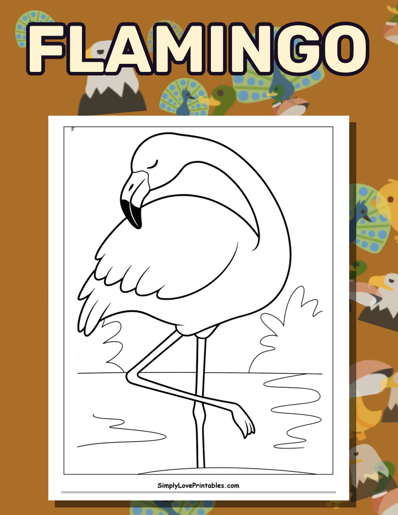Flamingo (36 Pages)