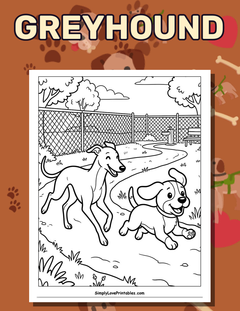 Greyhound (27 Pages)