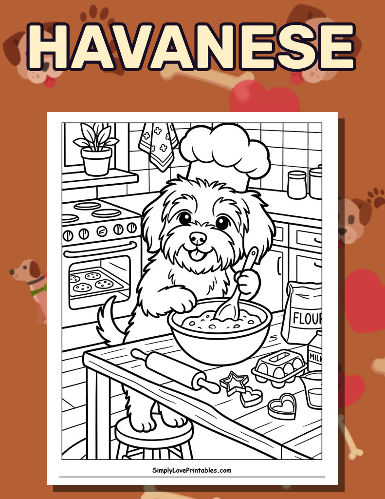 Havanese (31 Pages)