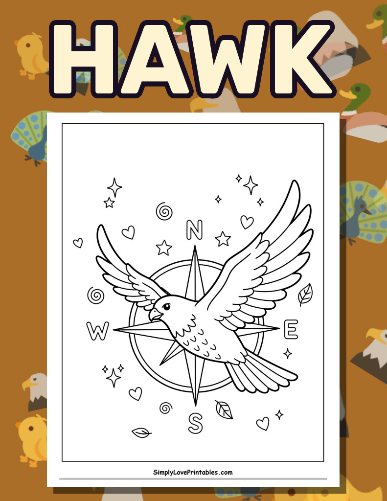 Hawk (37 Pages)