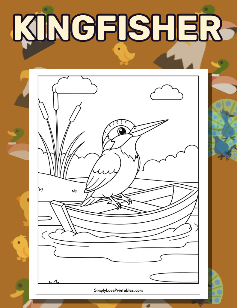 Kingfisher (28 Pages)