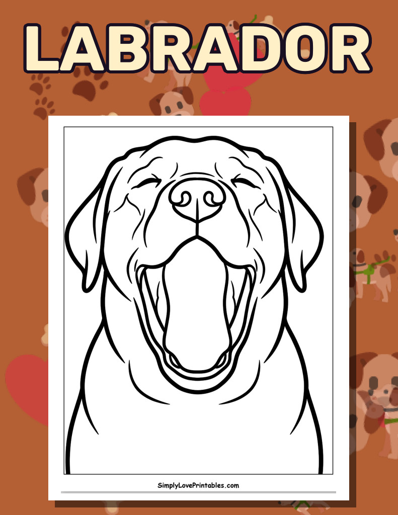 Labrador (32 Pages)