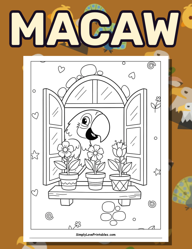 Macaw (31 Pages)