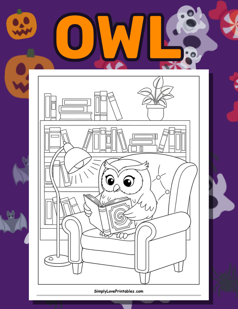 Owl (48 Pages)