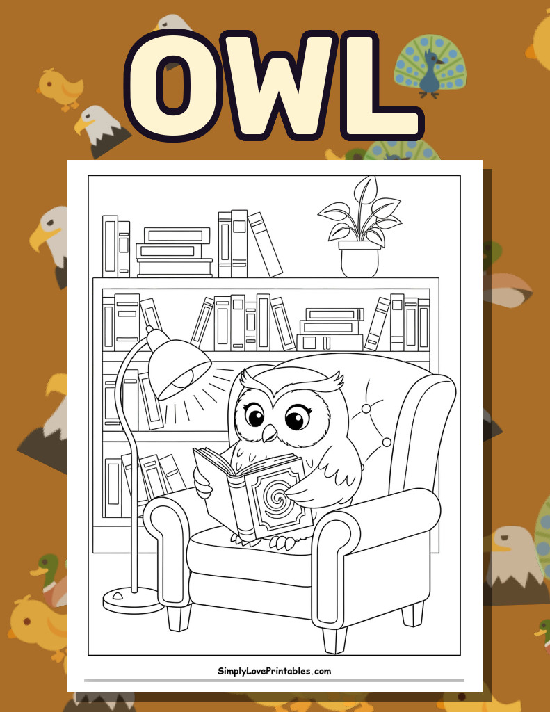 Owl (48 Pages)