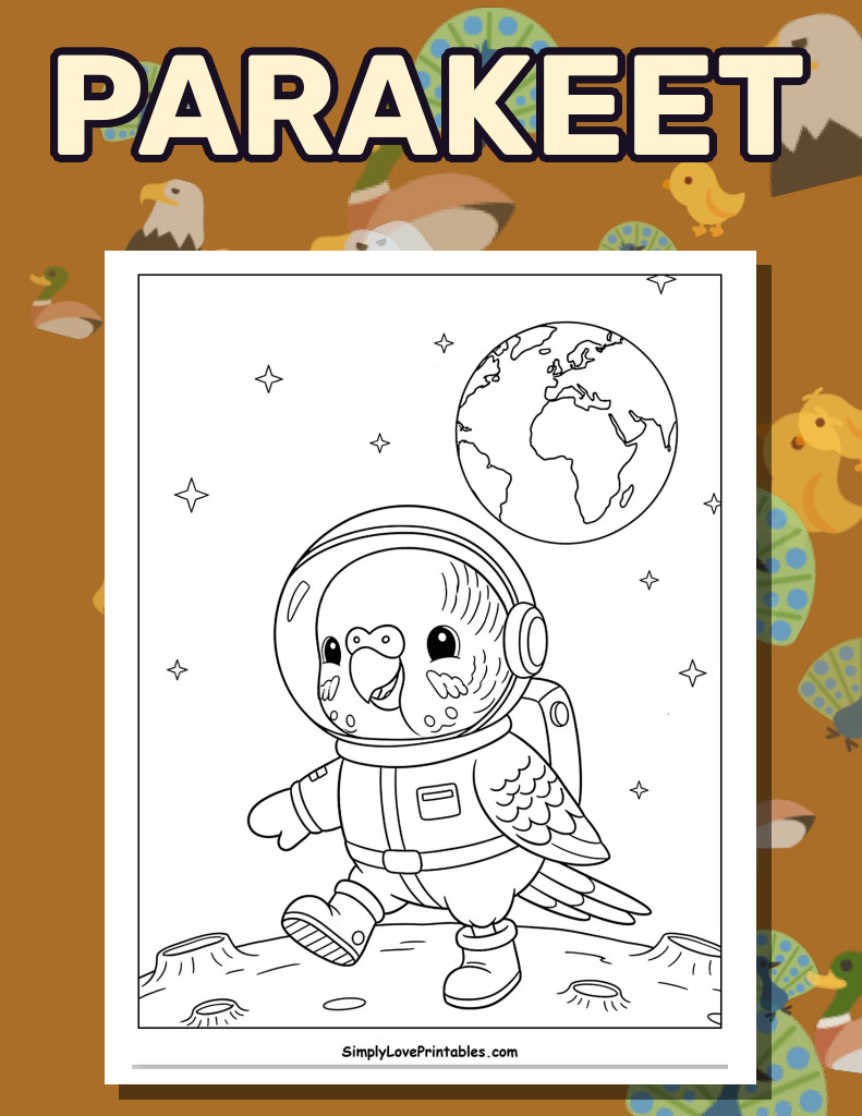 Parakeet (35 Pages)