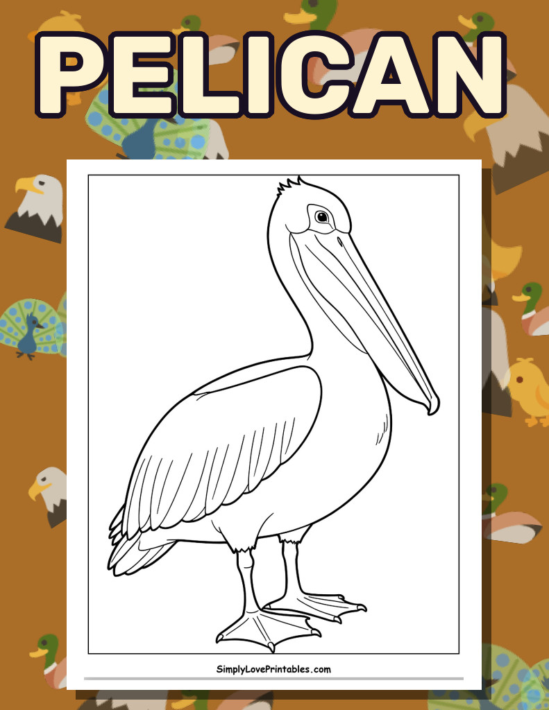 Pelican (34 Pages)