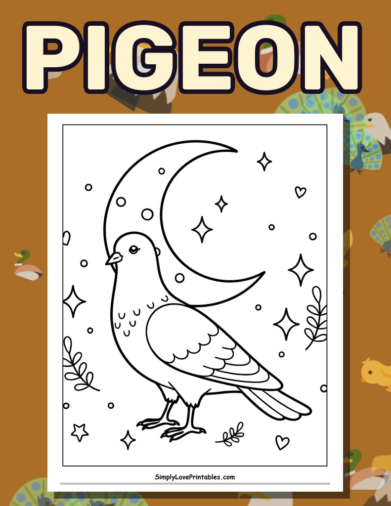Pigeon (41 Pages)
