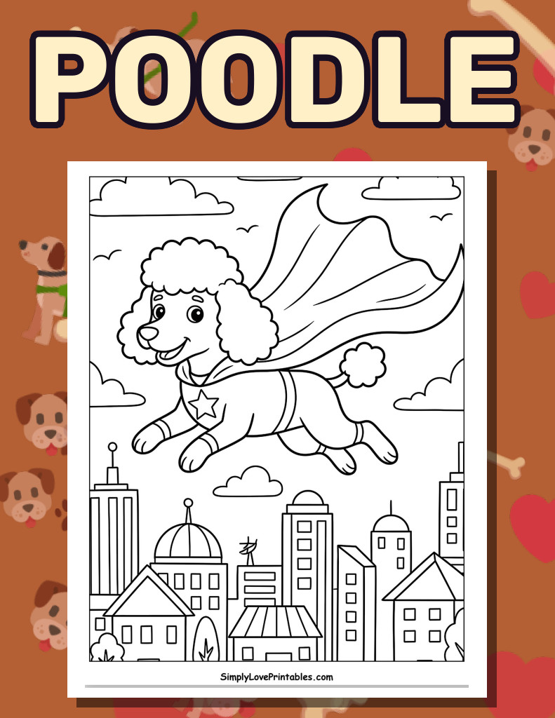 Poodle (43 Pages)