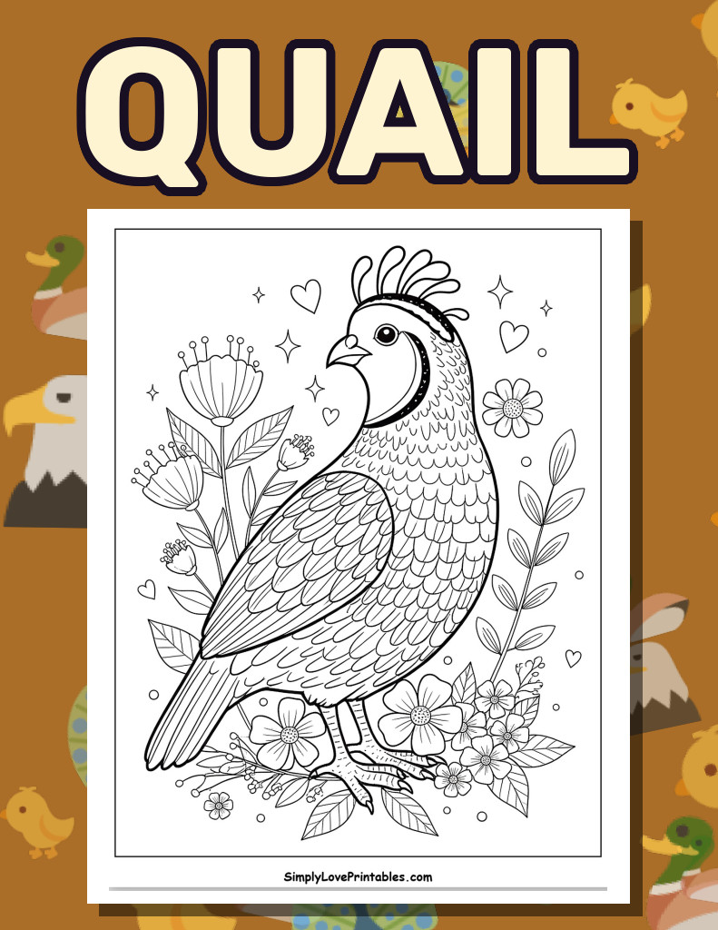Quail (36 Pages)