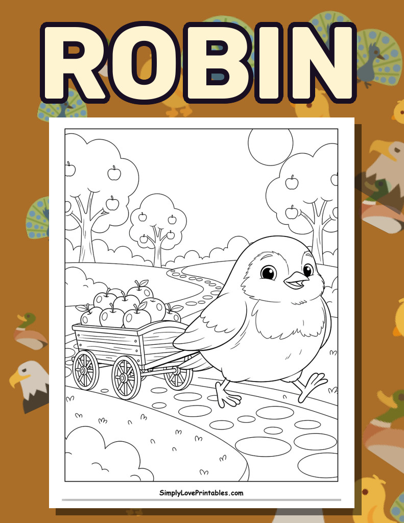 Robin (30 Pages)