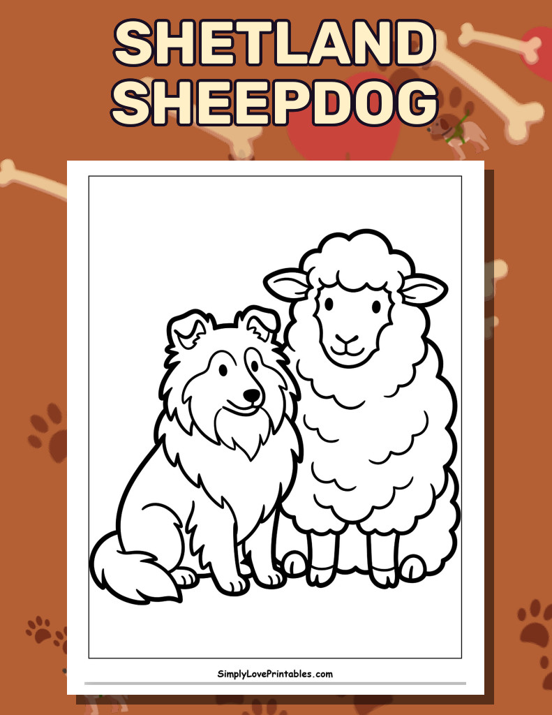 Shetland Sheepdog (28 Pages)