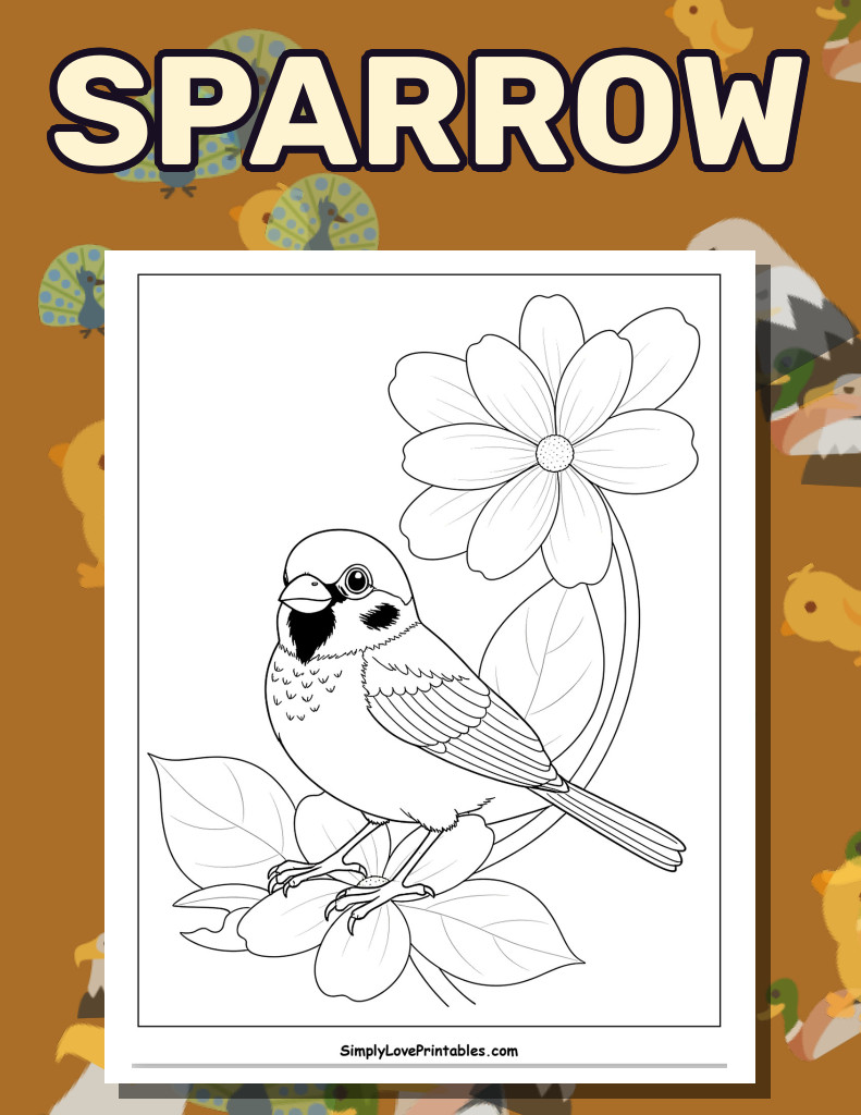 Sparrow (33 Pages)
