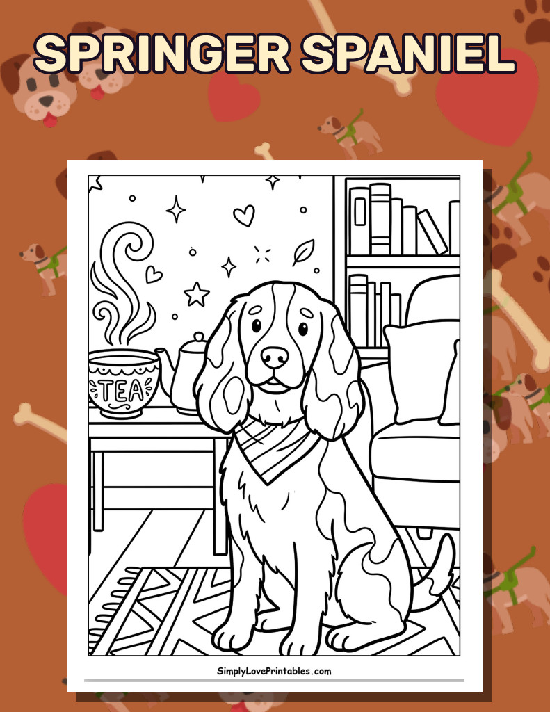 Springer Spaniel (31 Pages)
