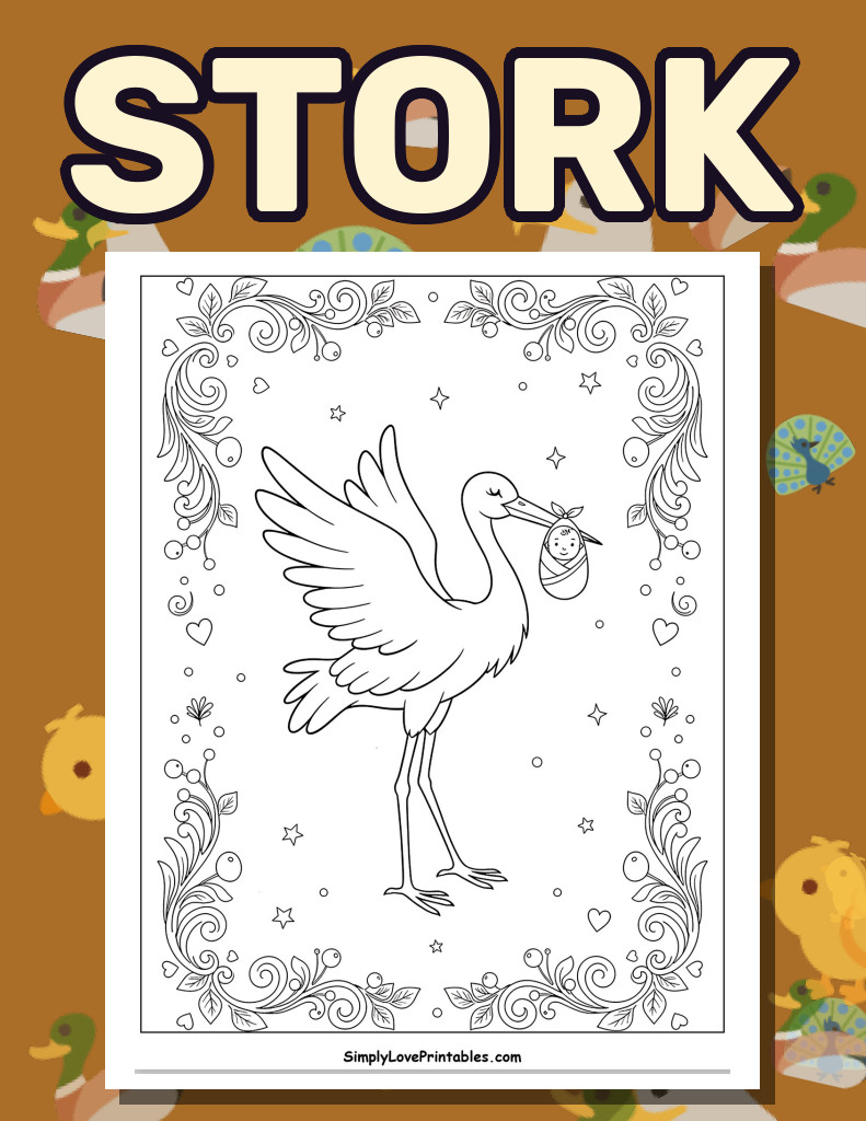 Stork (26 Pages)