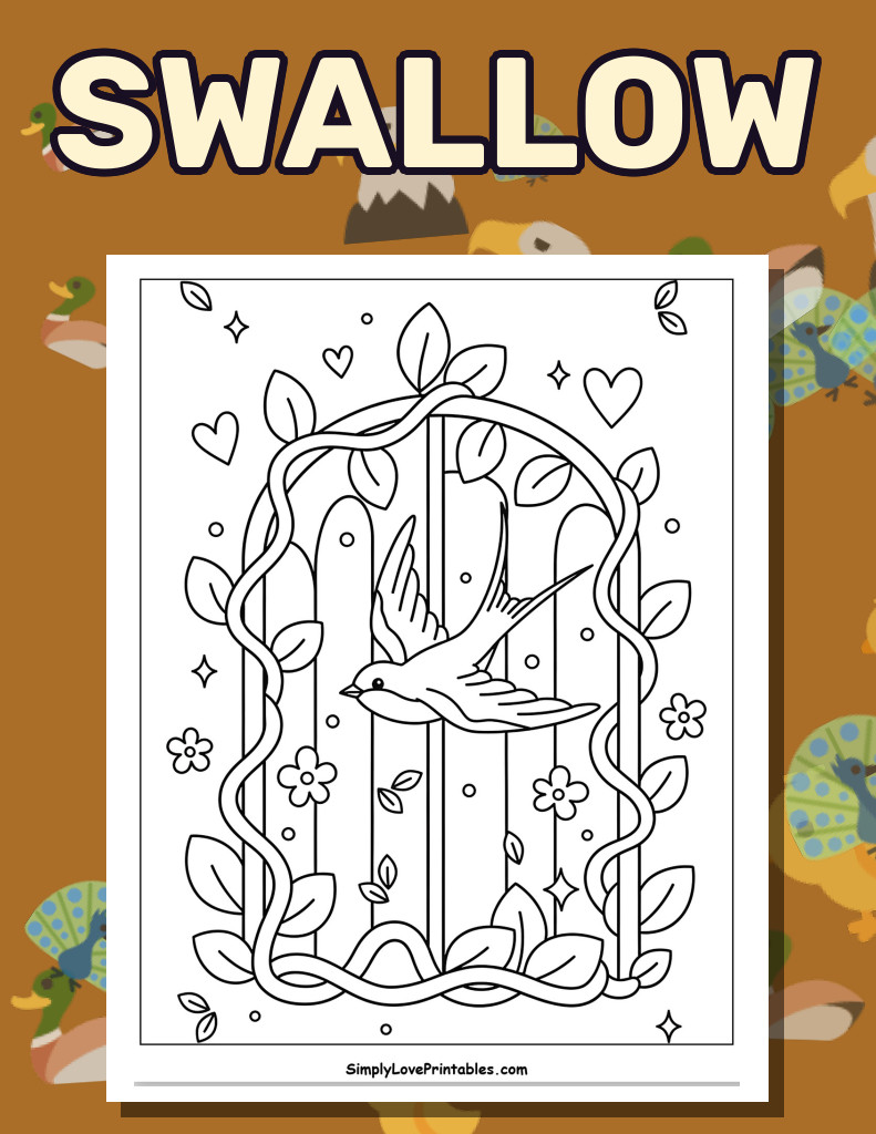 Swallow (26 Pages)