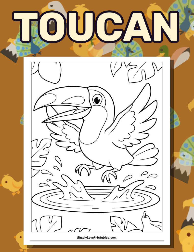 Toucan (31 Pages)