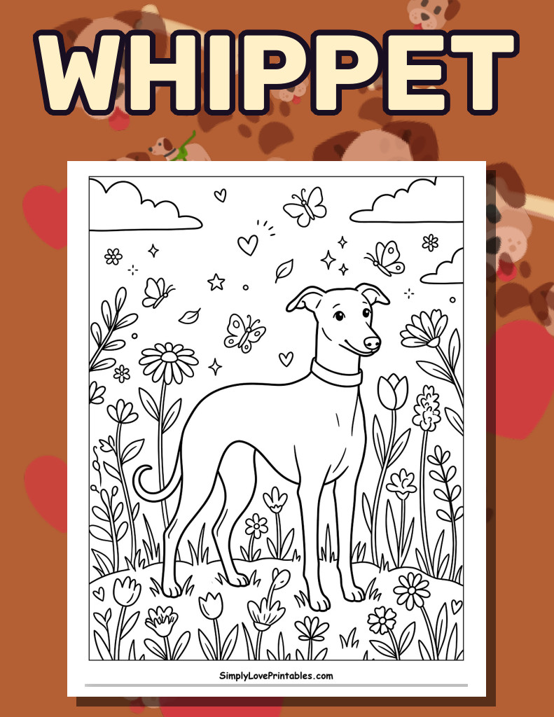 Whippet (26 Pages)