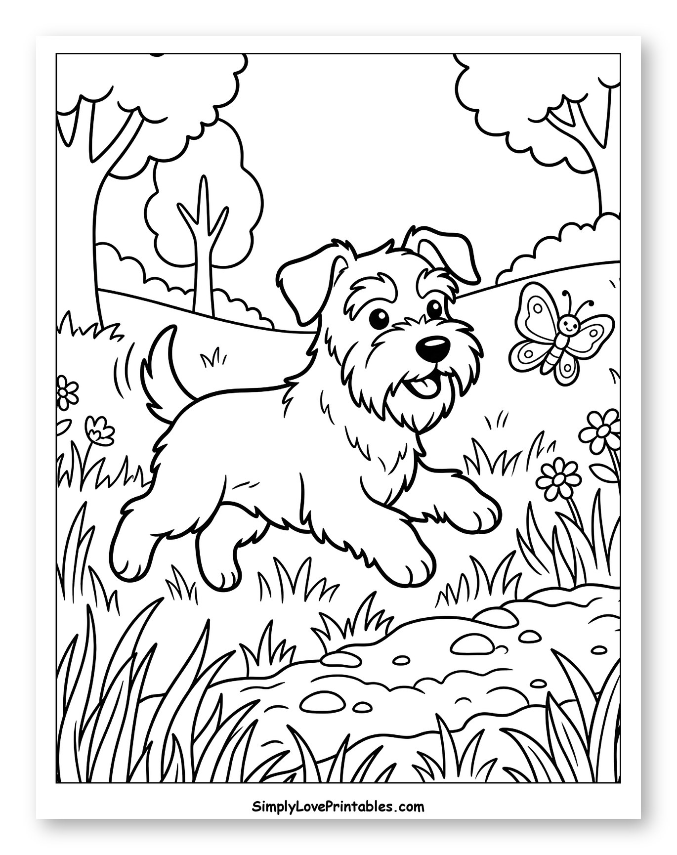 Miniature Schnauzer Running Through a Grassy Field to Color for Kids
