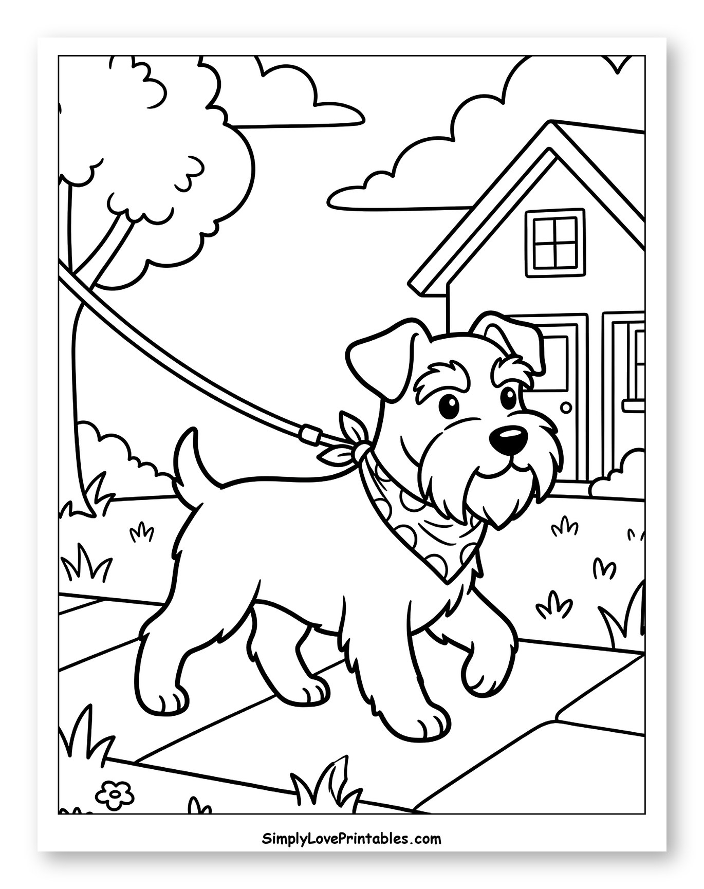 Miniature Schnauzer Walking on Leash Outdoors Coloring Sheet for Kids