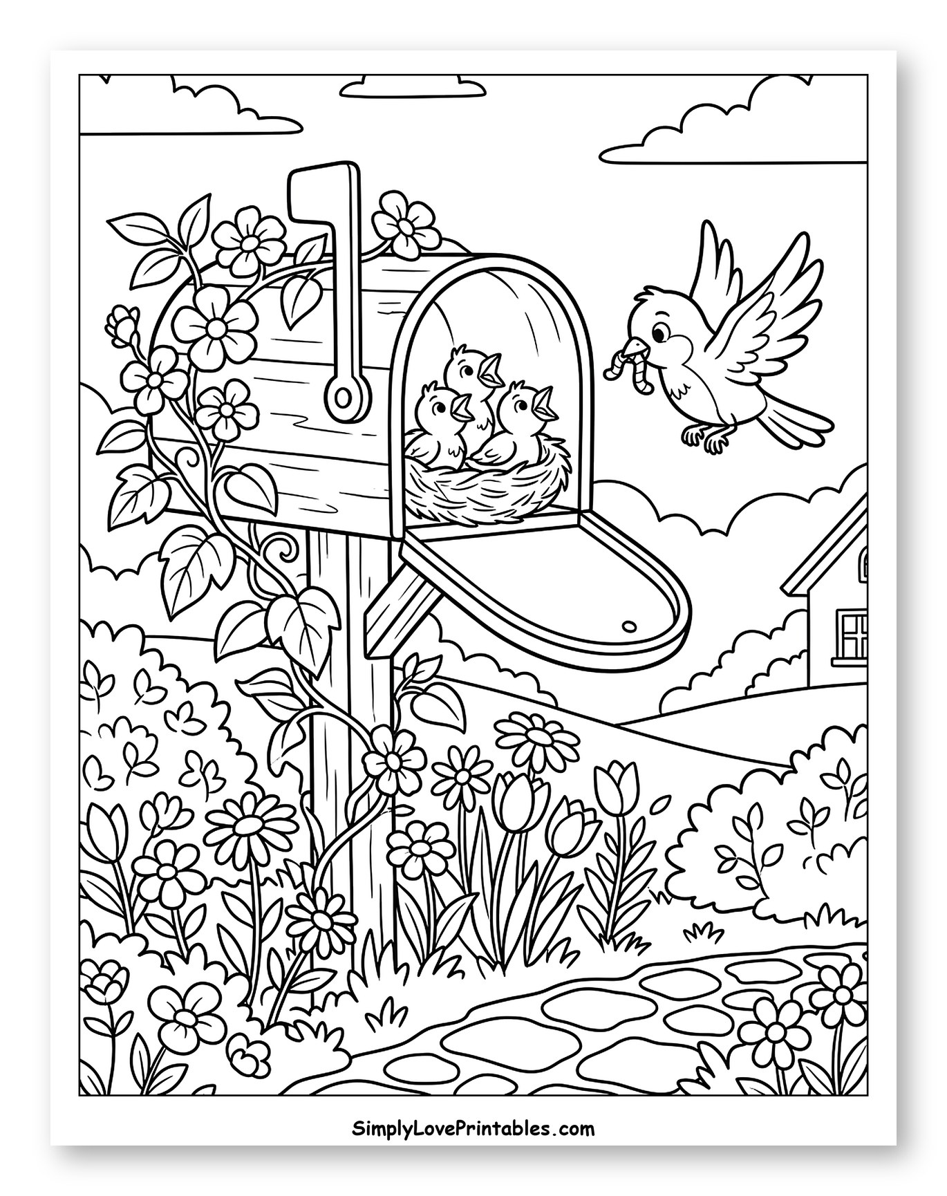 Mother Bird Feeding Babies in Mailbox