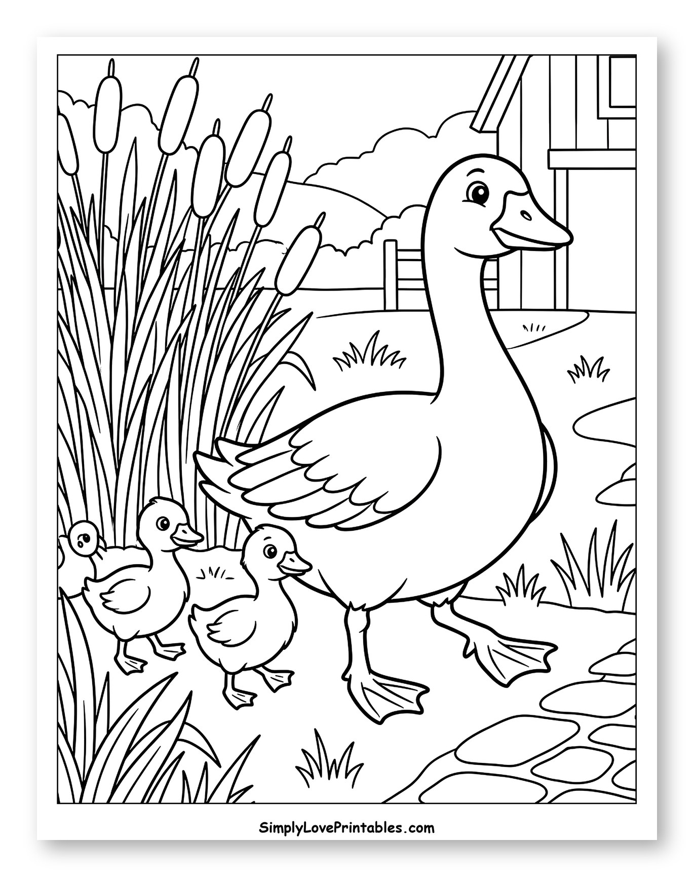 Mother Duck and Her Ducklings Walking