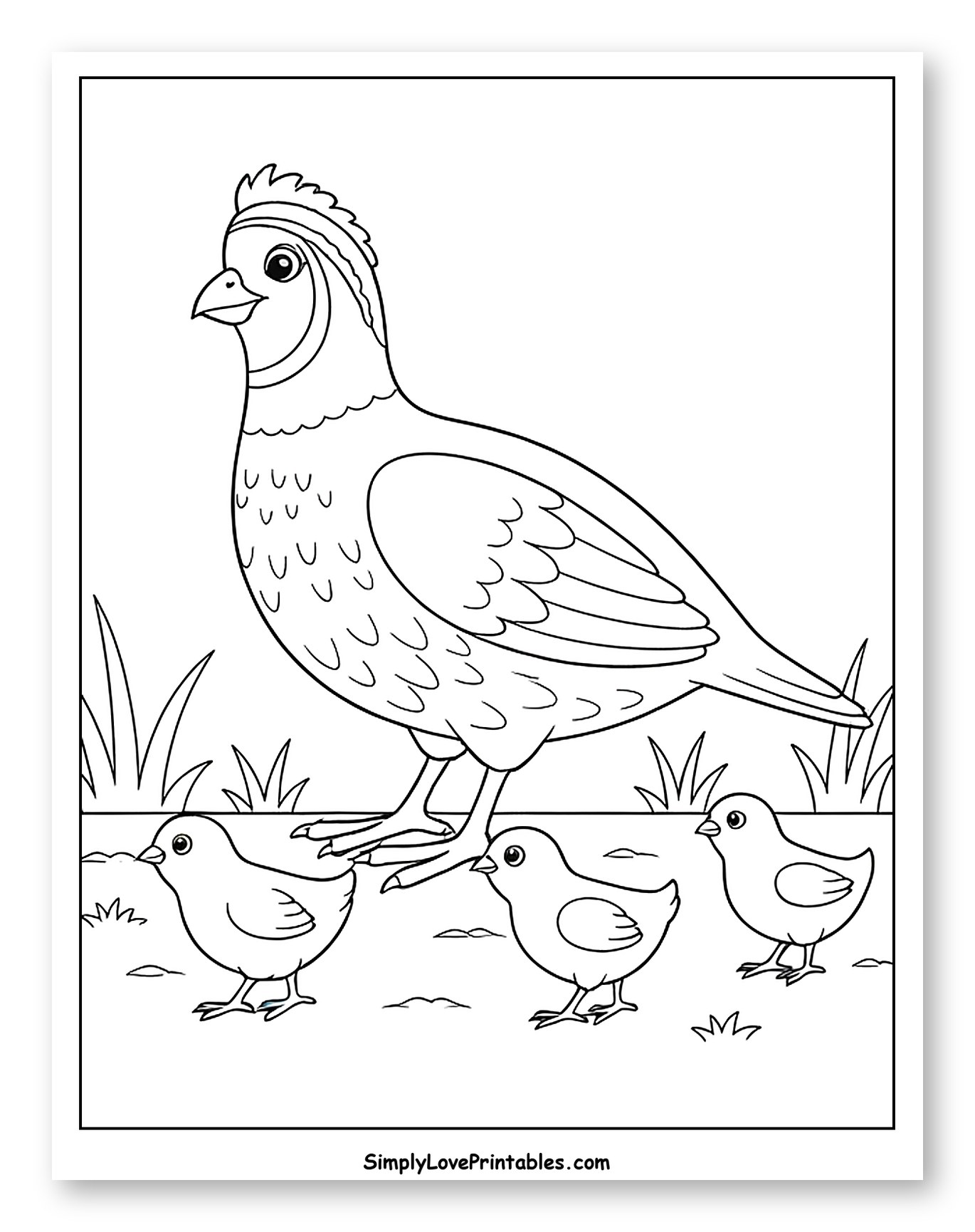 Mother Quail with Her Three Chicks to Color for Kids