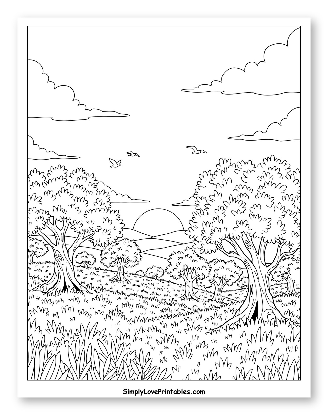 Olive Grove at Sunset with Birds