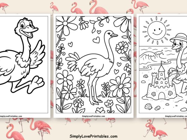 Ostrich coloring pages featured image