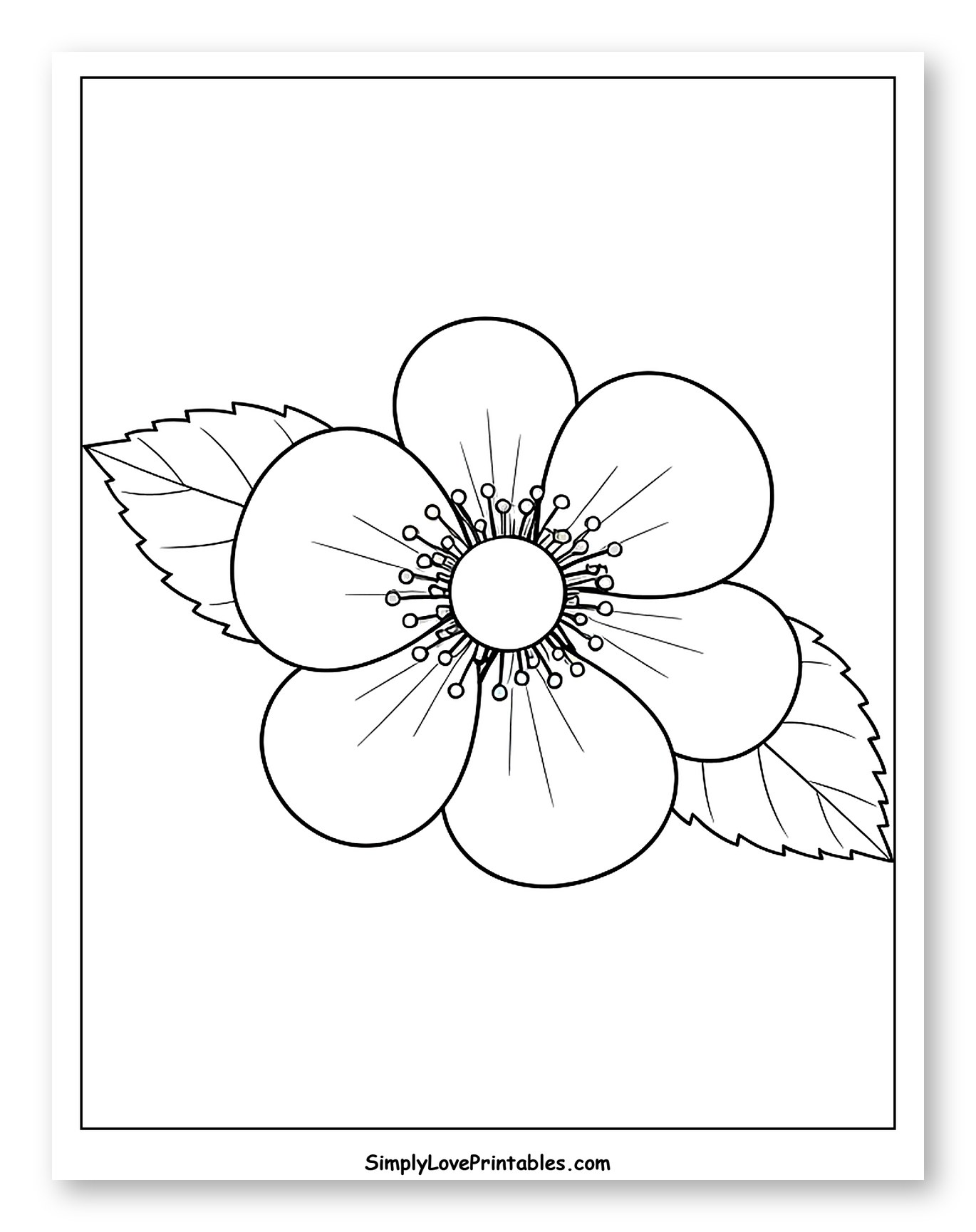 Outline of a Blackberry Blossom with Leaves