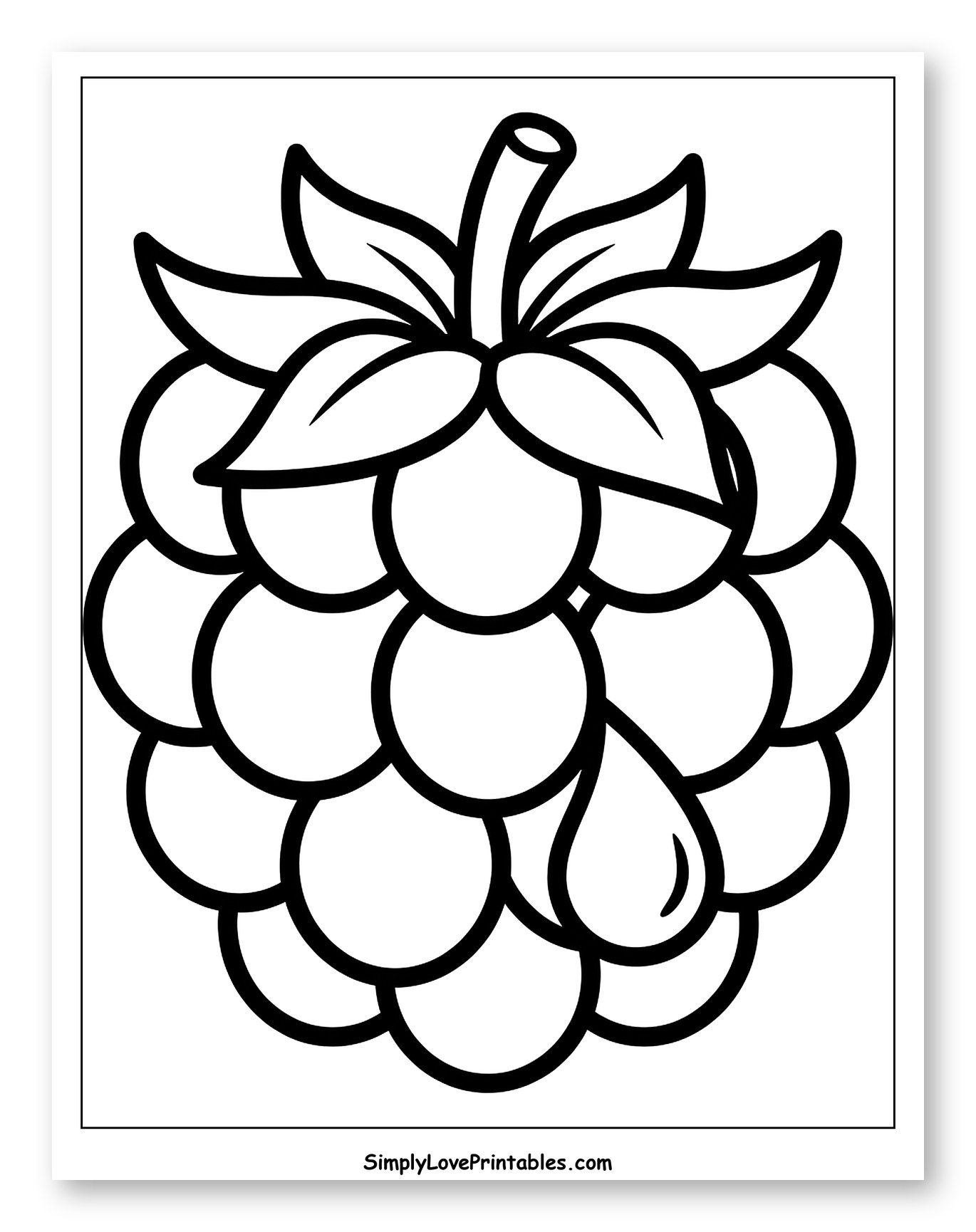 Outline of a Raspberry with Drip