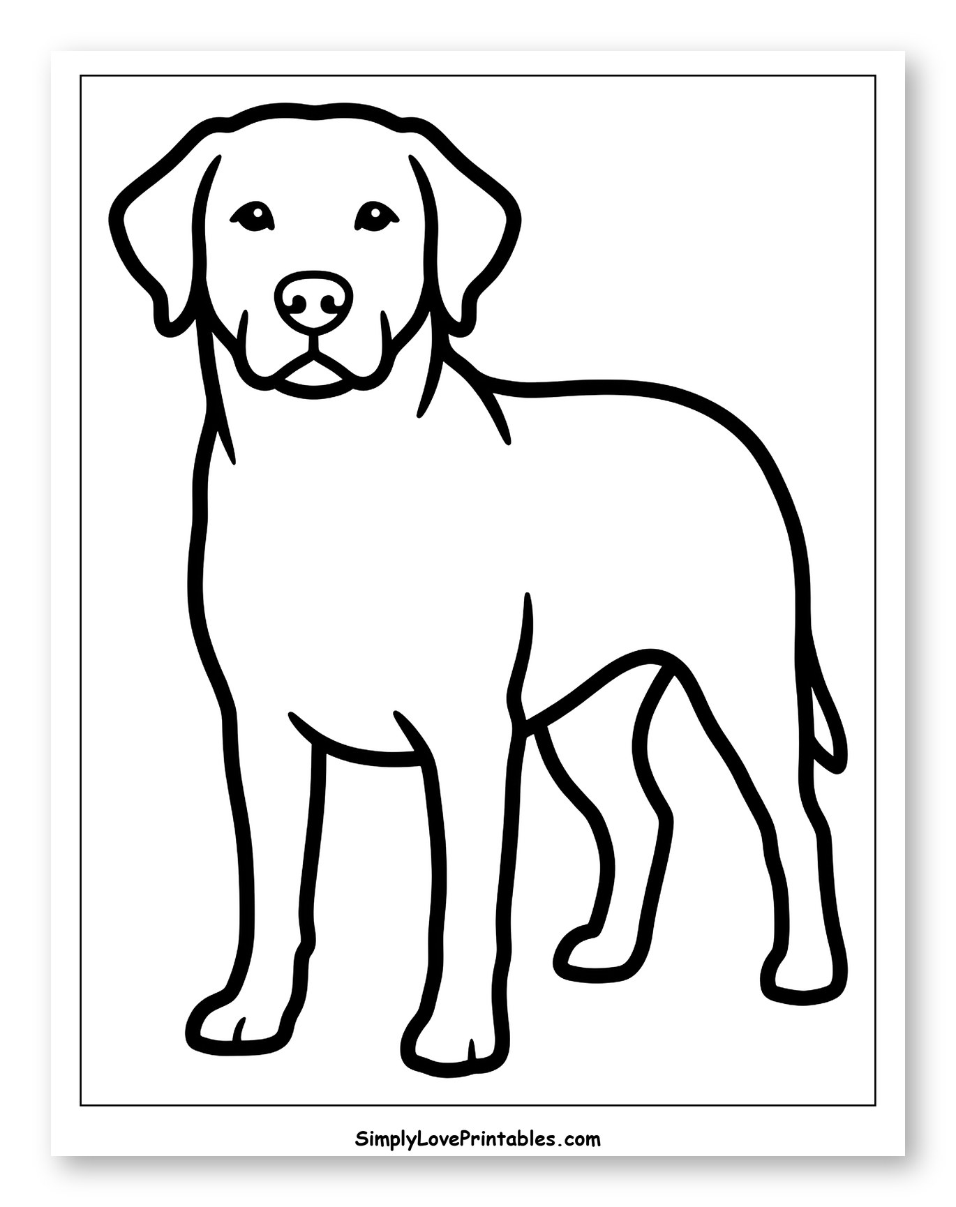Outline of a Standing Labrador Retriever to Color for Toddlers