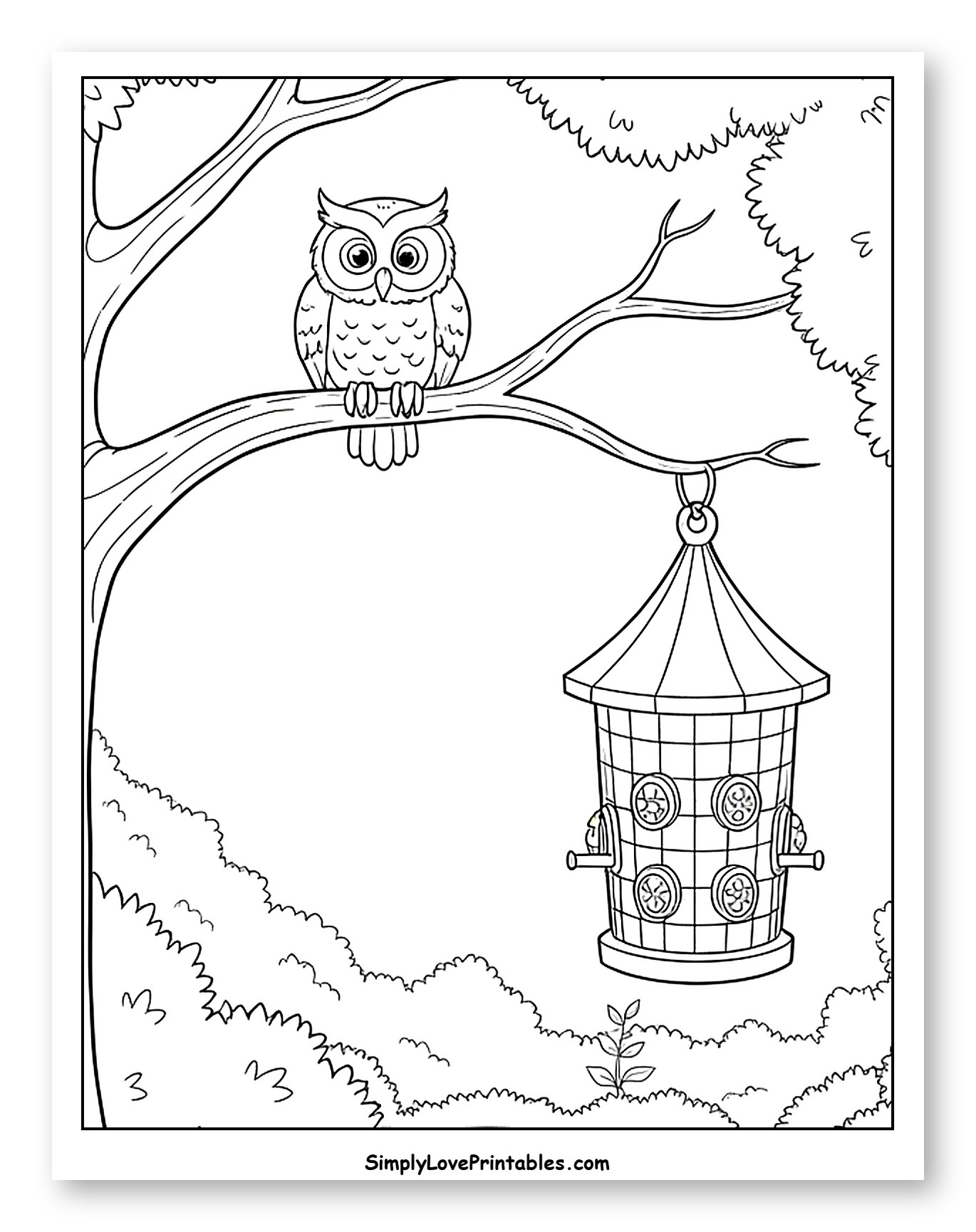 Owl on Branch with Bird Feeder