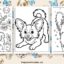 Papillon coloring pages featured image