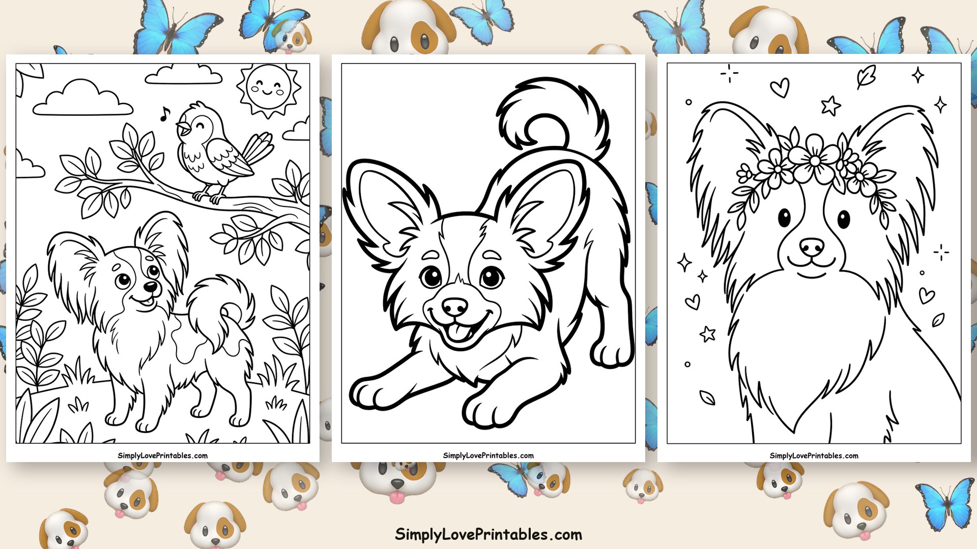 Papillon